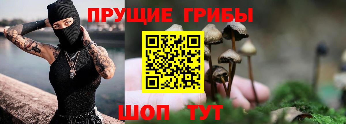 Псилоцибиновые грибы прущие грибы  Вход с VPN  Псилоцибиновые грибы GOLDEN TEACHER  Владимир 